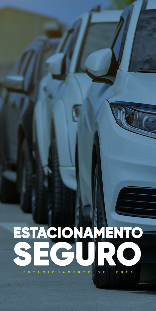  - Shopping Del Este